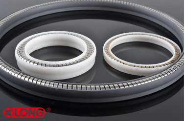 Low Friction PTFE Spring Energized Lip Seal