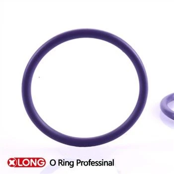 Odporny na zamarzanie średni gumowy oring R22